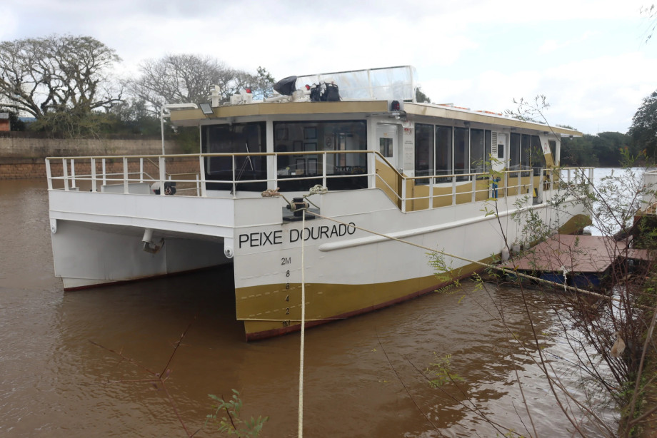 peixe_dourado_pdf.jpg